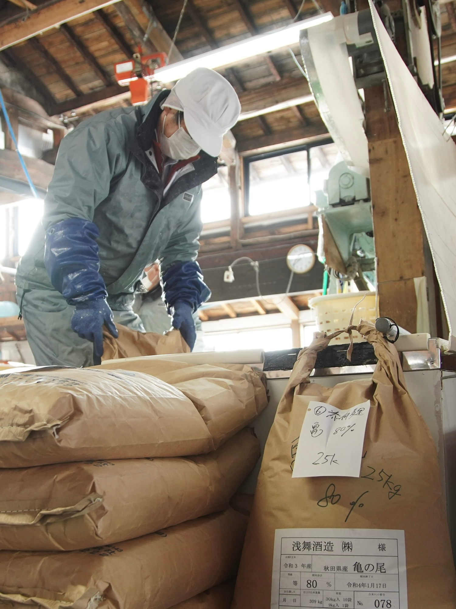 浅舞酒造、仕込み風景