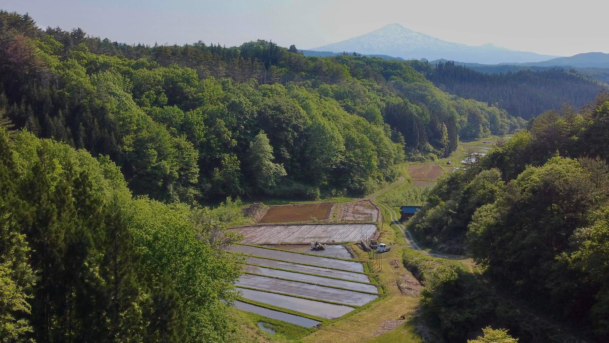 奥山入沢の田んぼと鳥海山